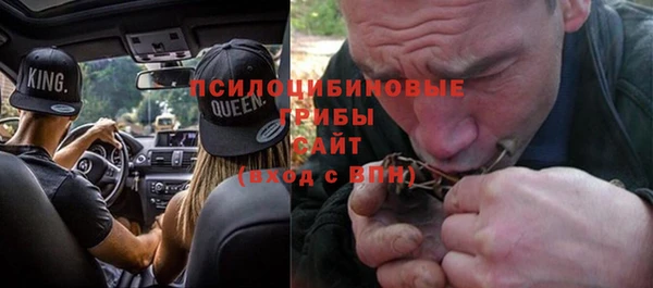 СК Пересвет