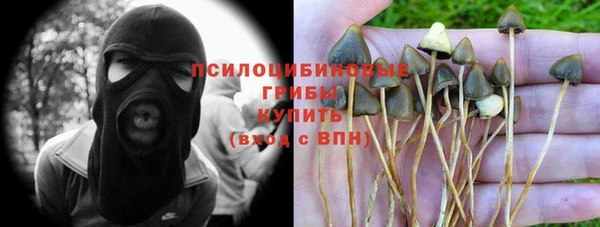 стаф Пестово
