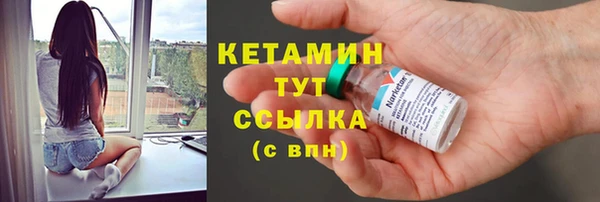 СК Пересвет
