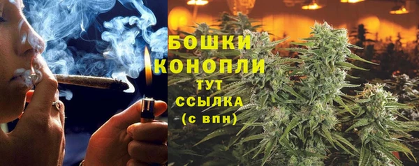 стаф Пестово