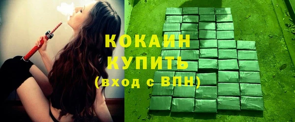 стаф Пестово