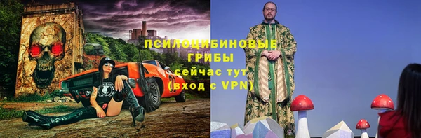 спиды Богородицк