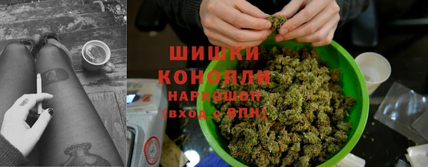 СК Пересвет