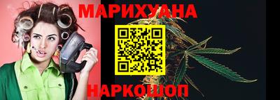 сатива Беслан