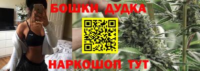 сатива Беслан