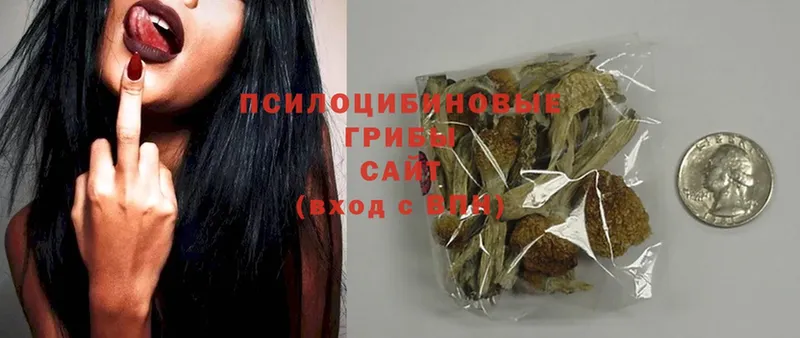 купить  сайты  Бугуруслан  Галлюциногенные грибы Magic Shrooms 