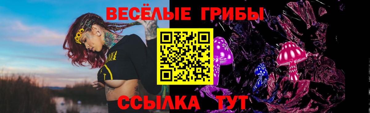 Псилоцибиновые грибы мицелий  Бугуруслан 